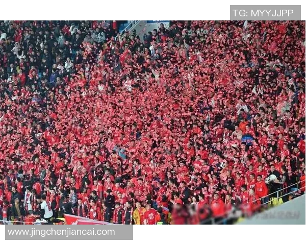 成都排球队速度之争引发热议球迷观点各异分析背后的战术与技术因素