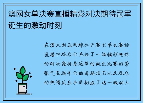 澳网女单决赛直播精彩对决期待冠军诞生的激动时刻